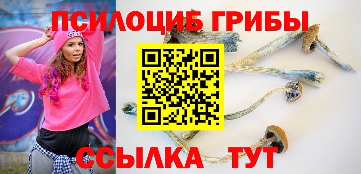 Псилоцибиновые грибы Psilocybine cubensis Сергиев Посад