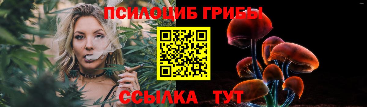 Сергиев Посад  Галлюциногенные грибы ЛСД  Вход с VPN 